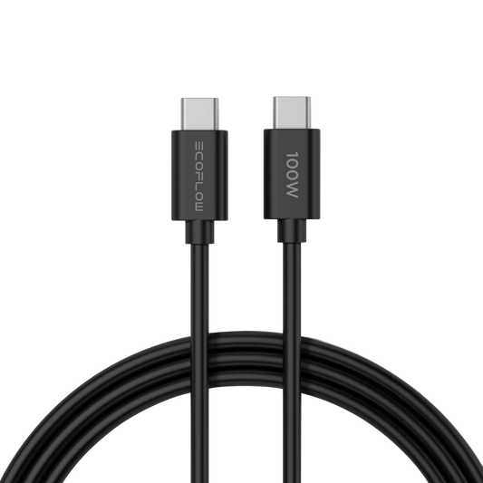Ecoflow Charger  65W (With a C-C cable)