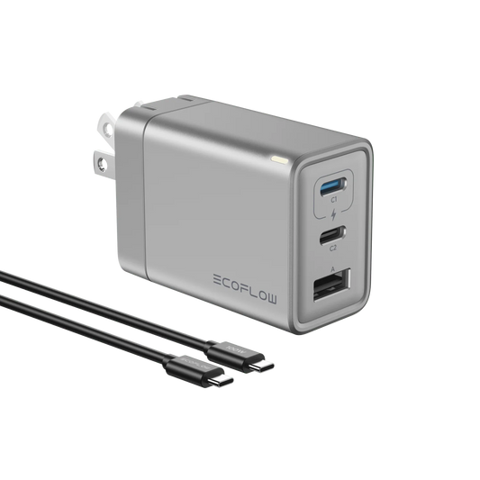 Ecoflow Charger  65W (With a C-C cable)