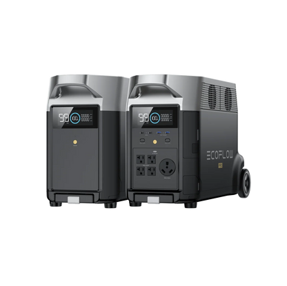 EcoFlow DELTA Pro Portable Power Station