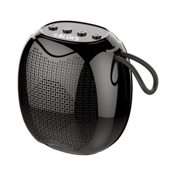 BX-171 | Portable Wireless Speaker