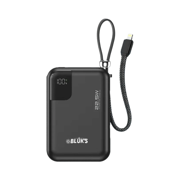 BX-308 SwiftCharge Bank 20000mAh